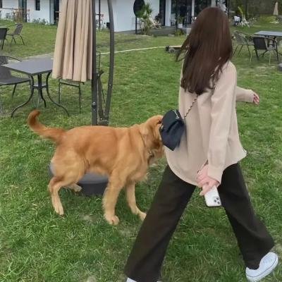 向死而生